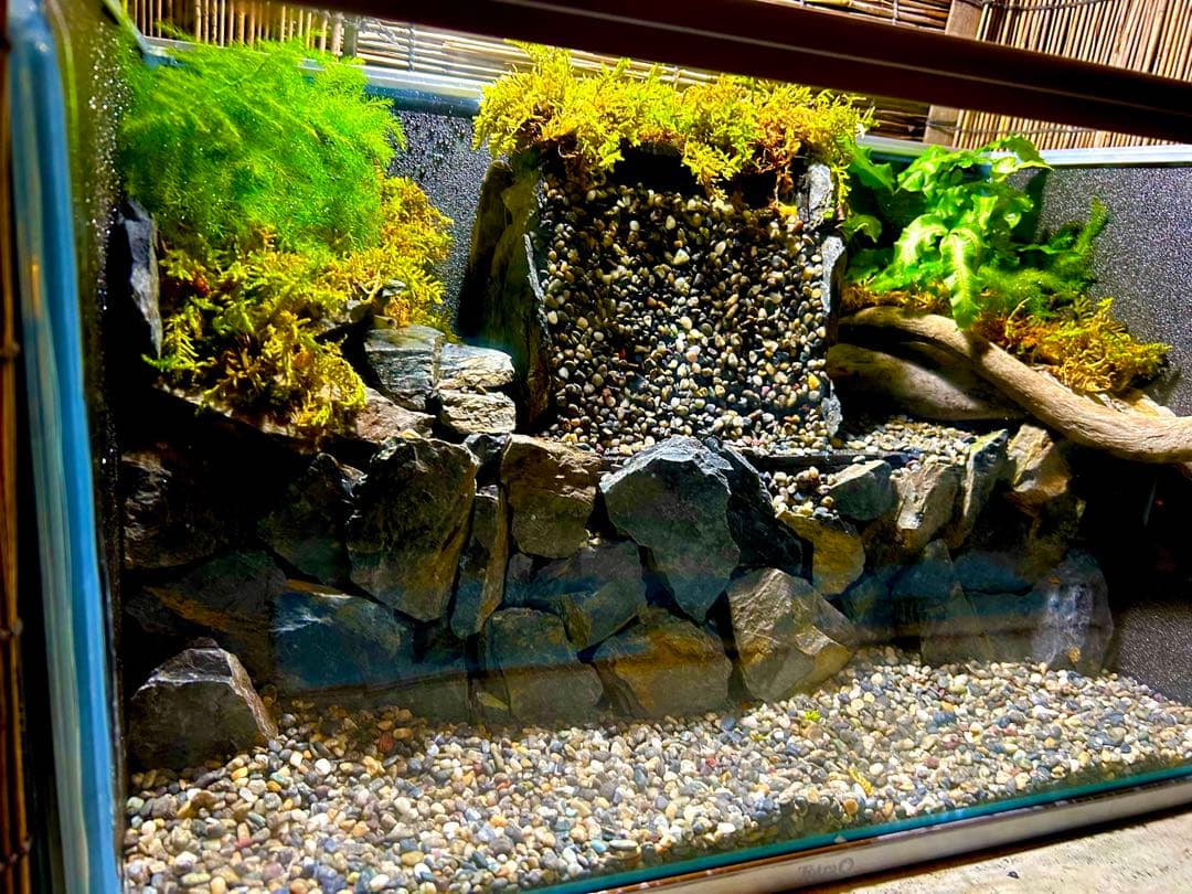 水の流れる滝テラリウム水槽　苔テラリウム　50センチ