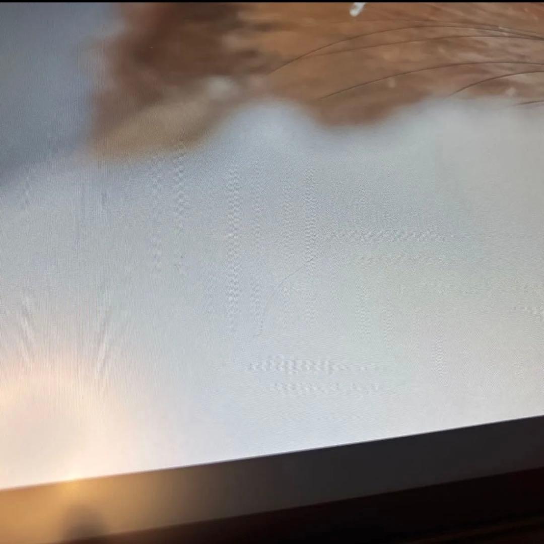 l*n様 DELL 4k 32インチ u3219qハブモニター　正常動作品