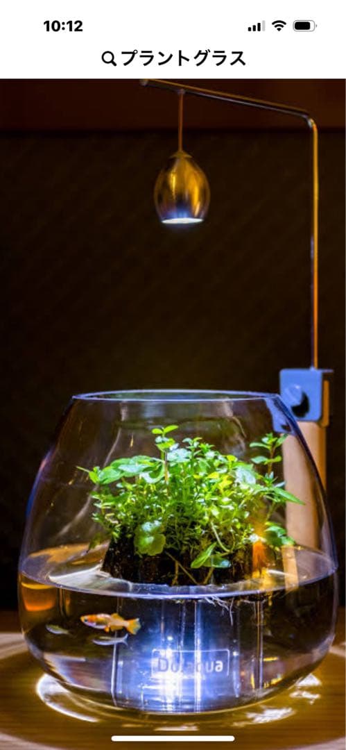 廃盤未使用　ADA Do!aquaプラントグラス・オアシス レアコレ