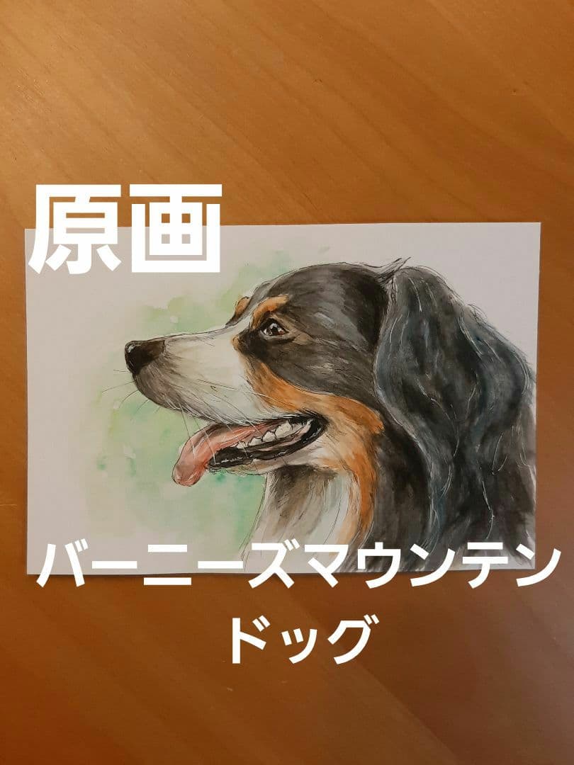 【バーニーズマウンテンドッグ】手描きイラスト 原画 《590》