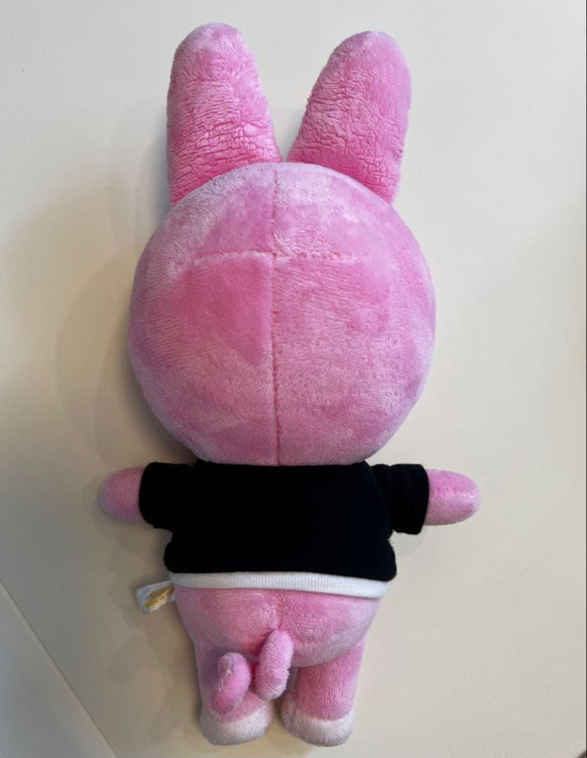 StrayKids スキズ トェッキ ぬいぐるみセット