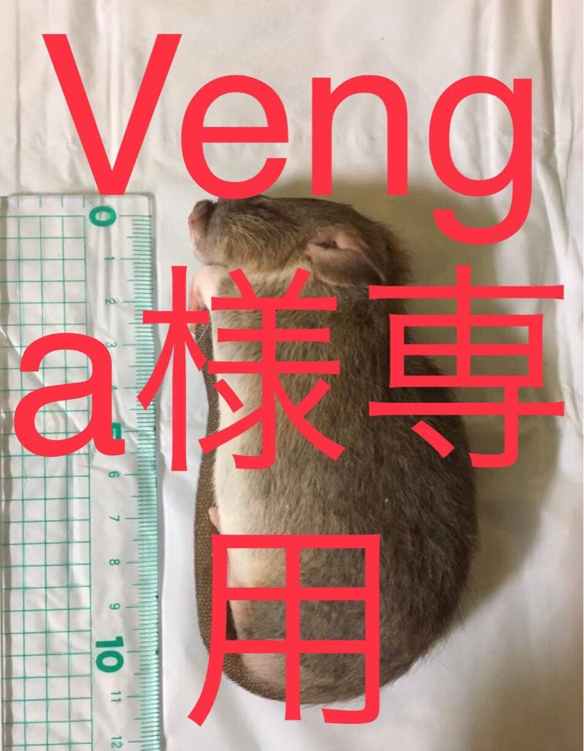 冷凍PL10 H10 ADM10 ADL10 ADLL20