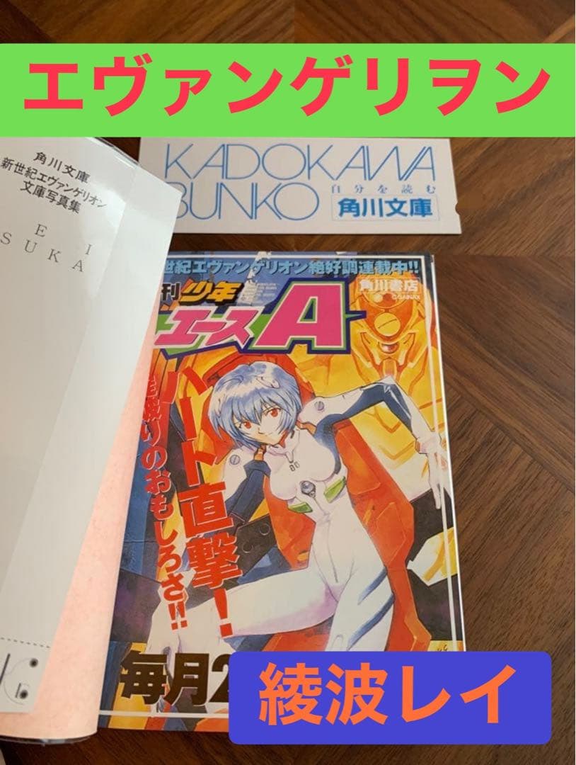 ⭐️エヴァンゲリオン　フォトグラフ　REI
