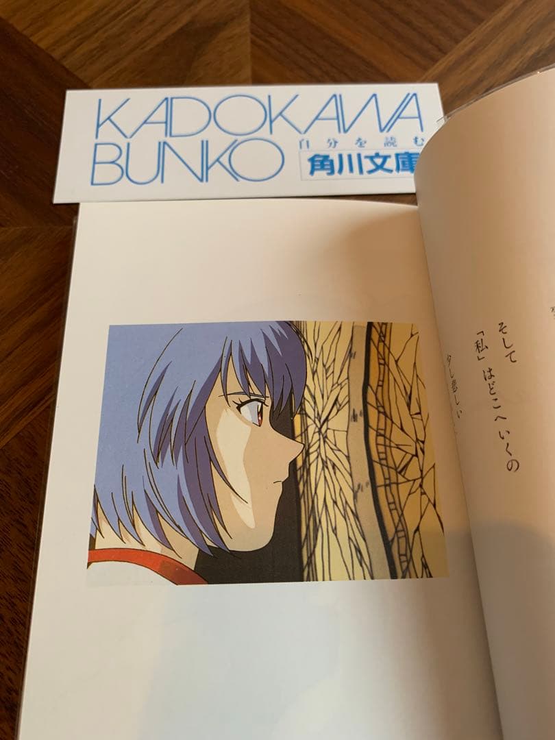 ⭐️エヴァンゲリオン　フォトグラフ　REI