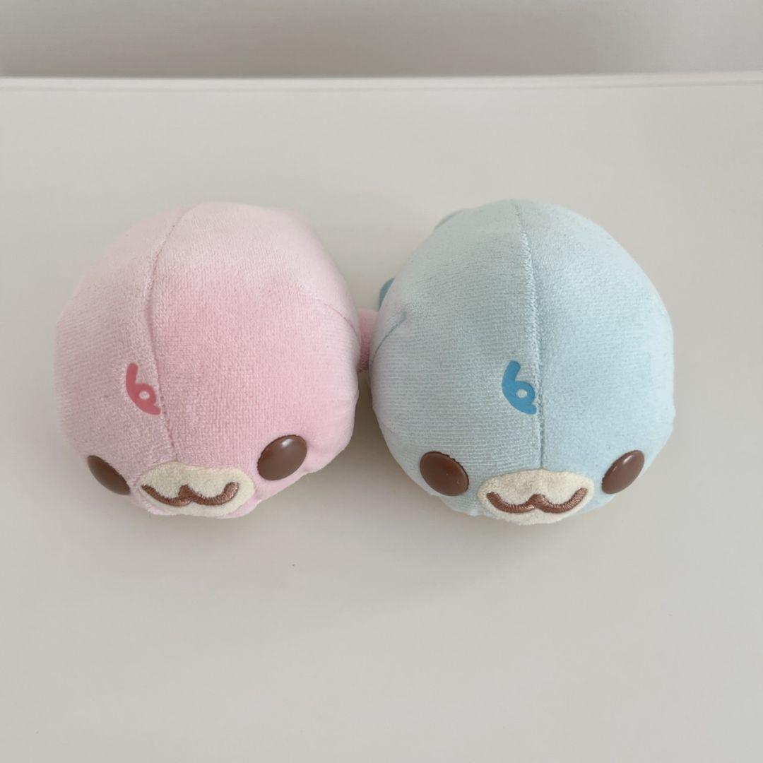 激レア！ ベビー まめゴマ♡