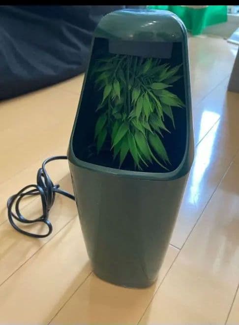 GEX カメレオン飼育１１点セット　エキゾテラスクリーンテラリウム４５９０