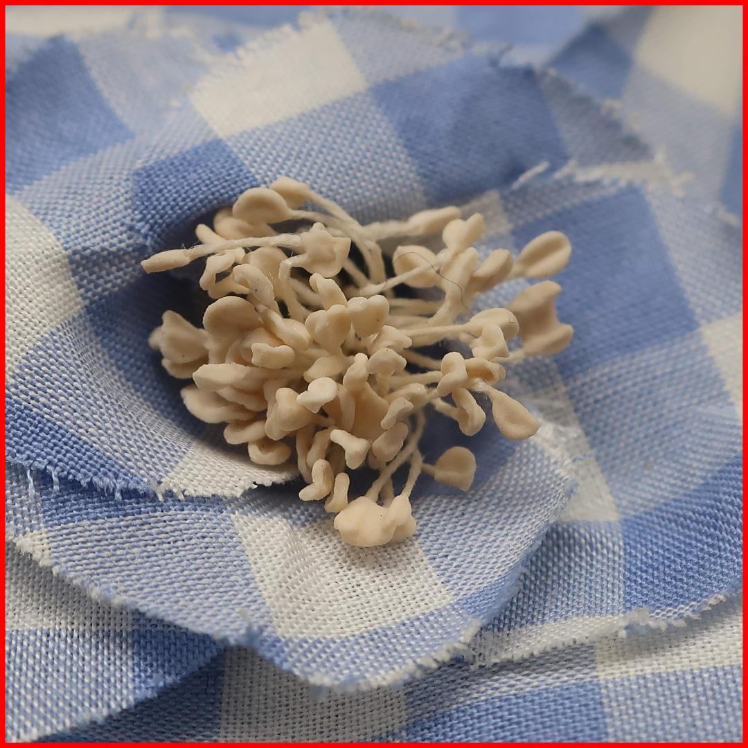 正規品 シャネル Chanel CHANEL カメリア コサージュ 箱