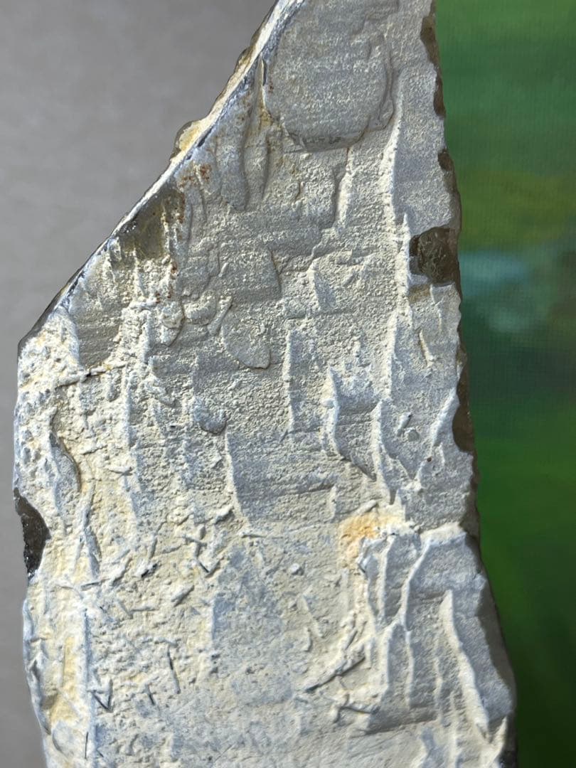 共生スモーキークォーツ・レインボー　・トルマリン　370g