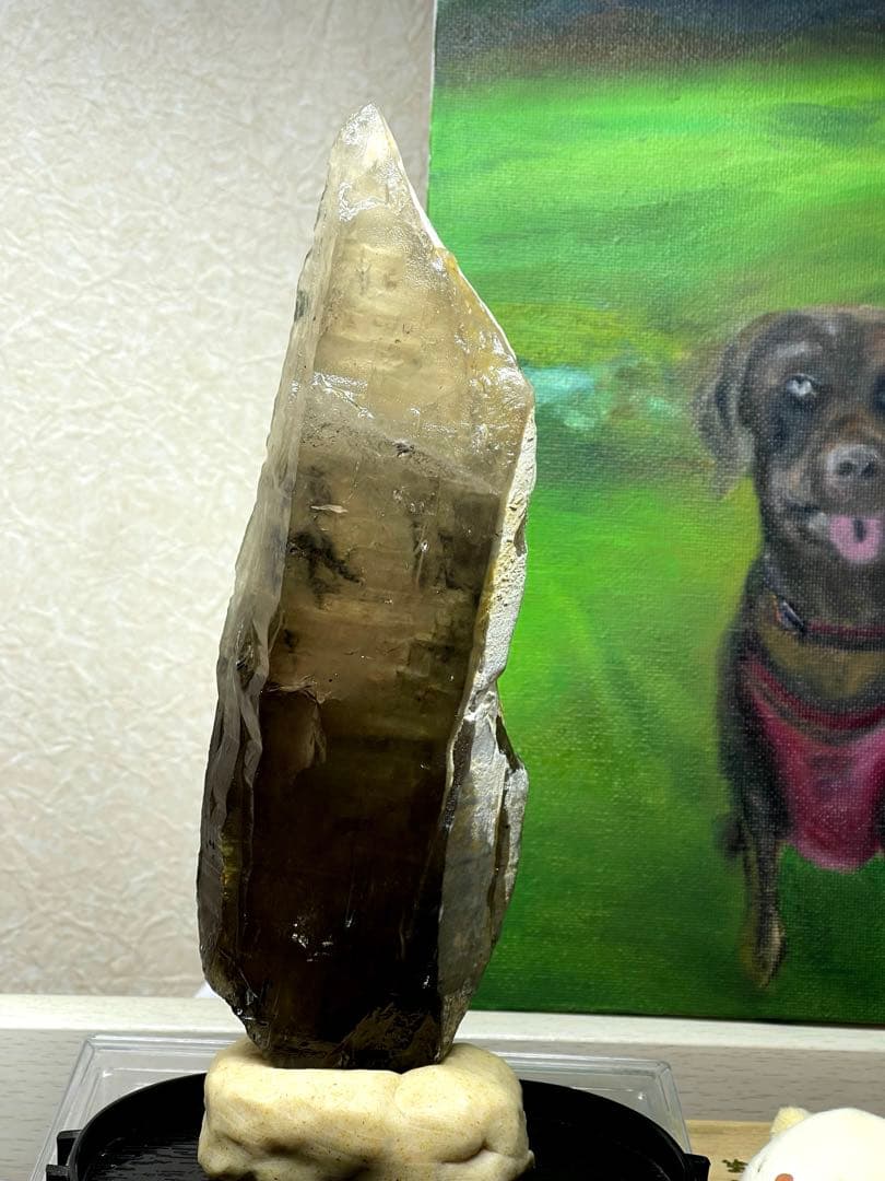 共生スモーキークォーツ・レインボー　・トルマリン　370g