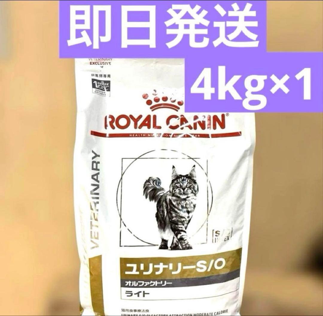 正規品 ロイヤルカナン ユリナリー-S/O オルファクトリー　ライト　4kg