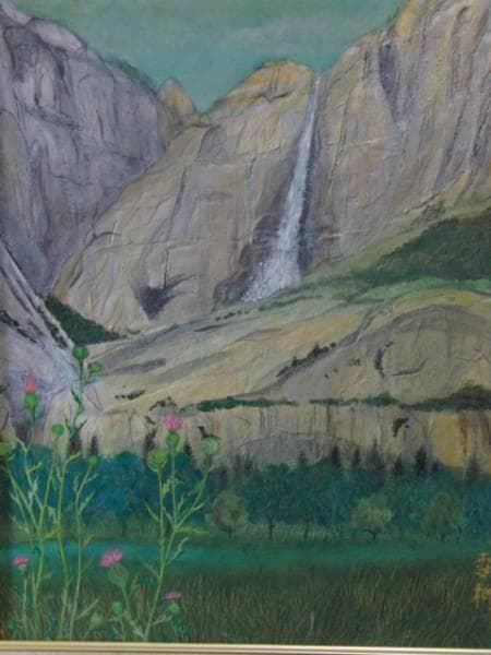 特別価格、雪柳、米国にて・ヨセミテ公園、日本画８号、新品高級額装付