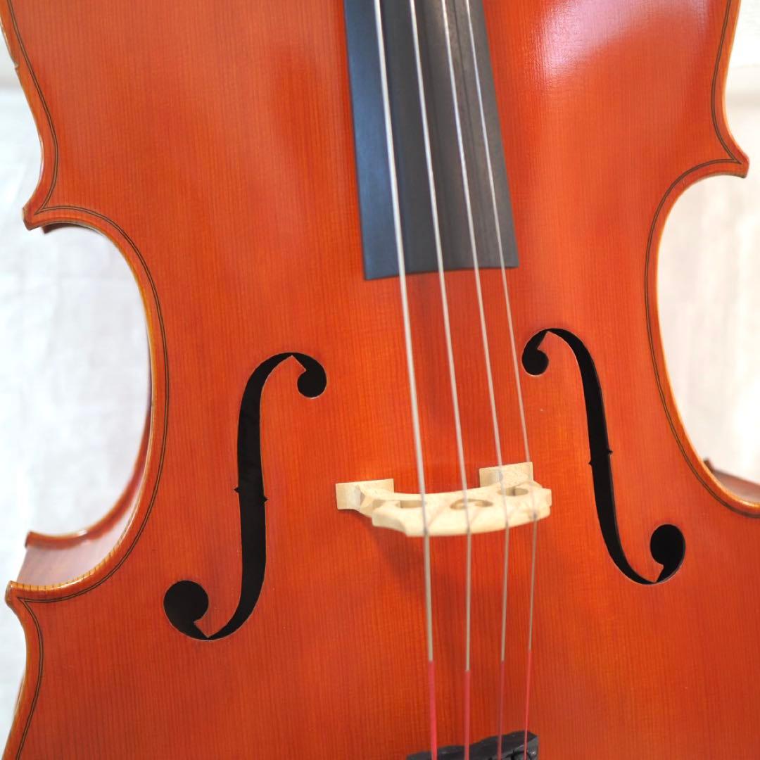 ピグマリウス チェロ 4/4 Pygmalius　ST-303 ハードケース