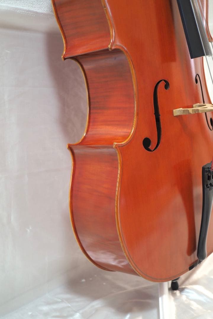 ピグマリウス チェロ 4/4 Pygmalius　ST-303 ハードケース