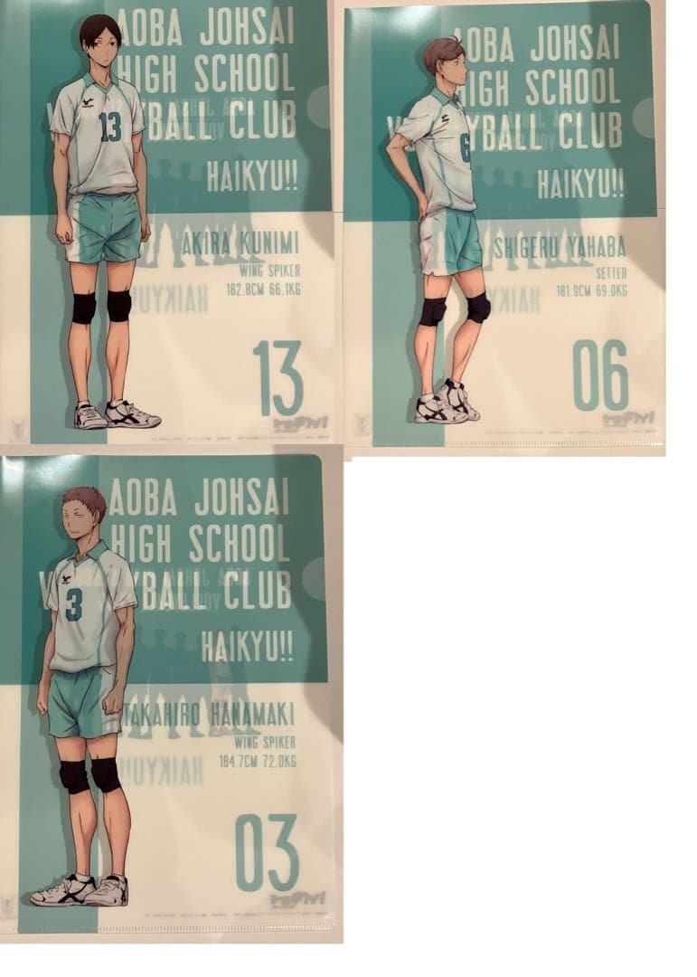 44セット ハイキュー 青葉城西 青城 クリア ファイル