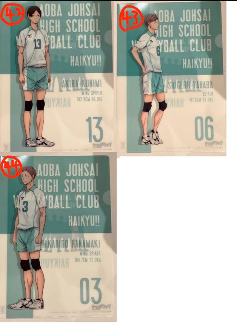 44セット ハイキュー 青葉城西 青城 クリア ファイル