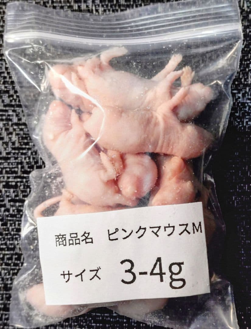 ひ　送料無料　冷凍ピンクマウスＬ200匹　ピンクマウスM100匹