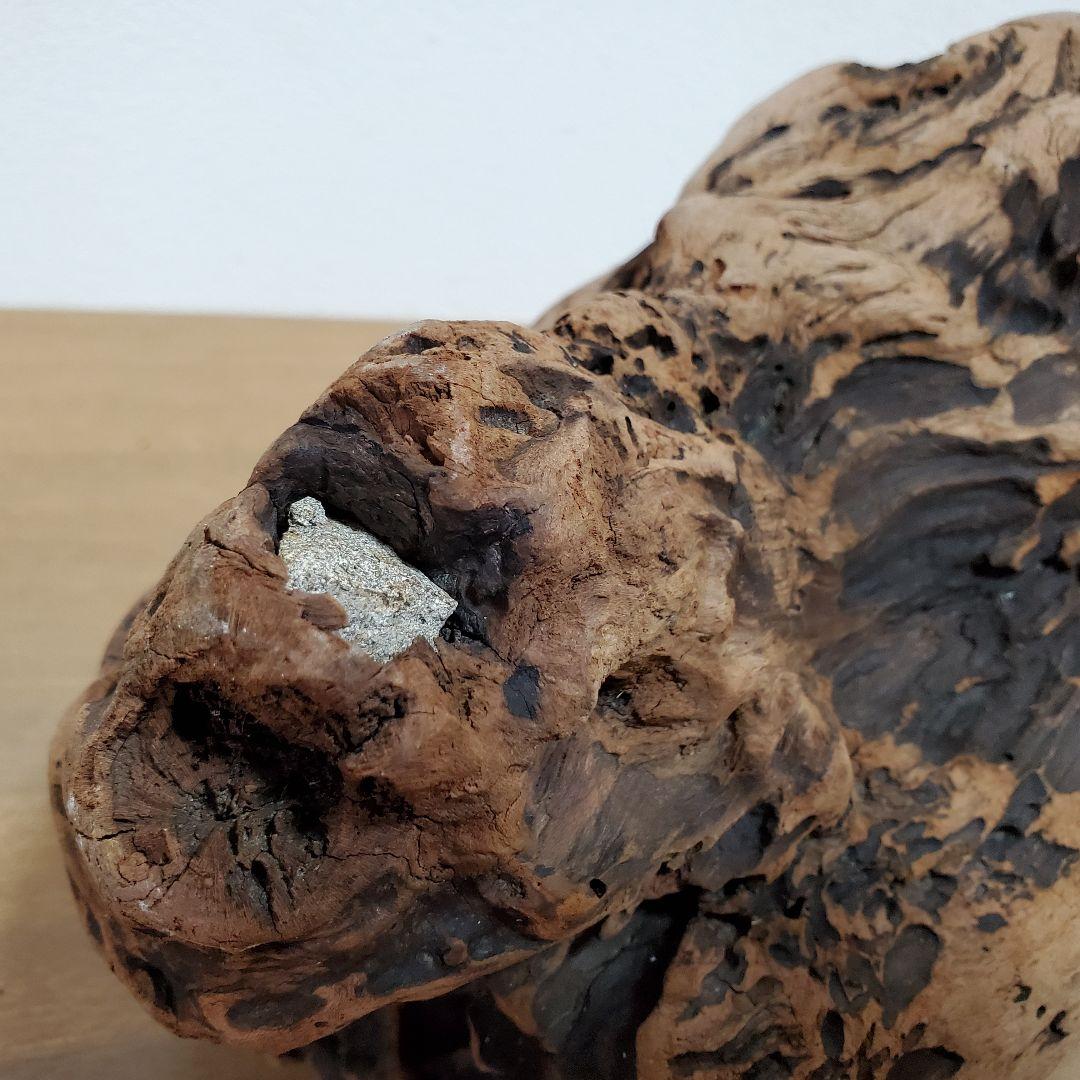 【267】大型流木　インテリアや爬虫類などに　止まり木　アクアリウム