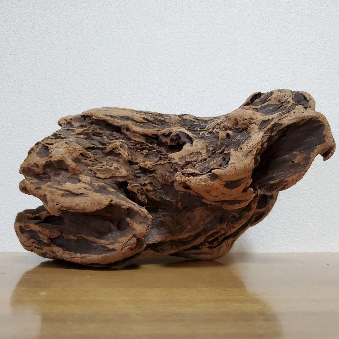【267】大型流木　インテリアや爬虫類などに　止まり木　アクアリウム