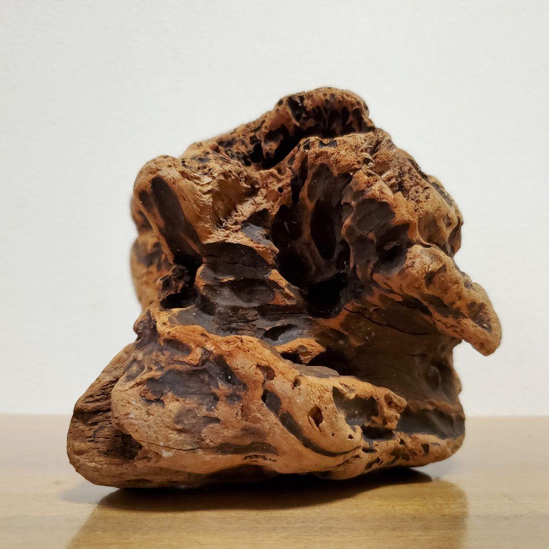 【267】大型流木　インテリアや爬虫類などに　止まり木　アクアリウム