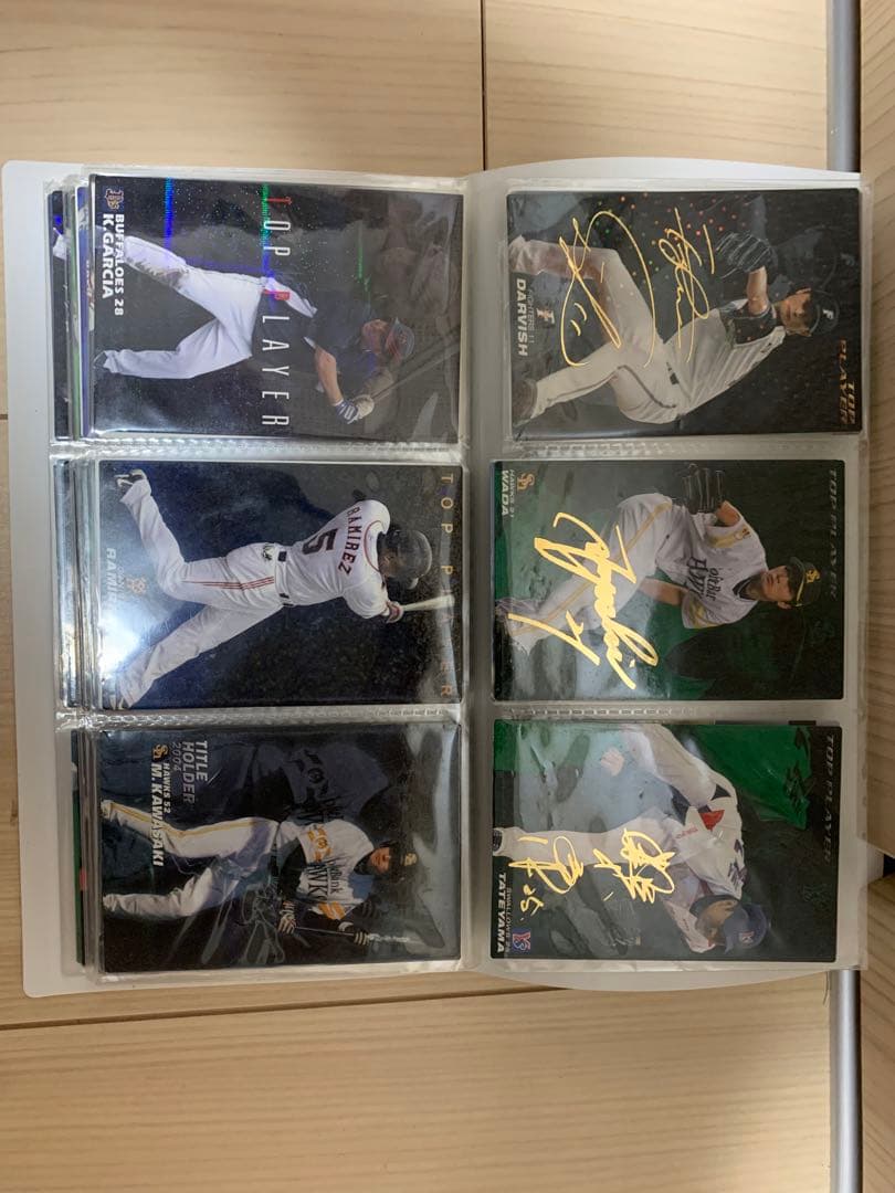 レア　プロ野球チップス　カード集　カルビー　野球　ベースボール　npb