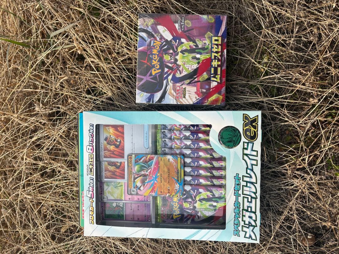 ポケモンカード メガニキスゼロEXセット