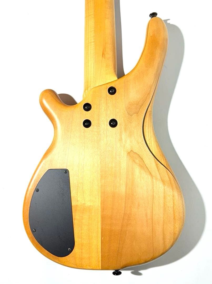 【希少・美品】TUNE TBC-5S 5弦ベース エレキベース チューン