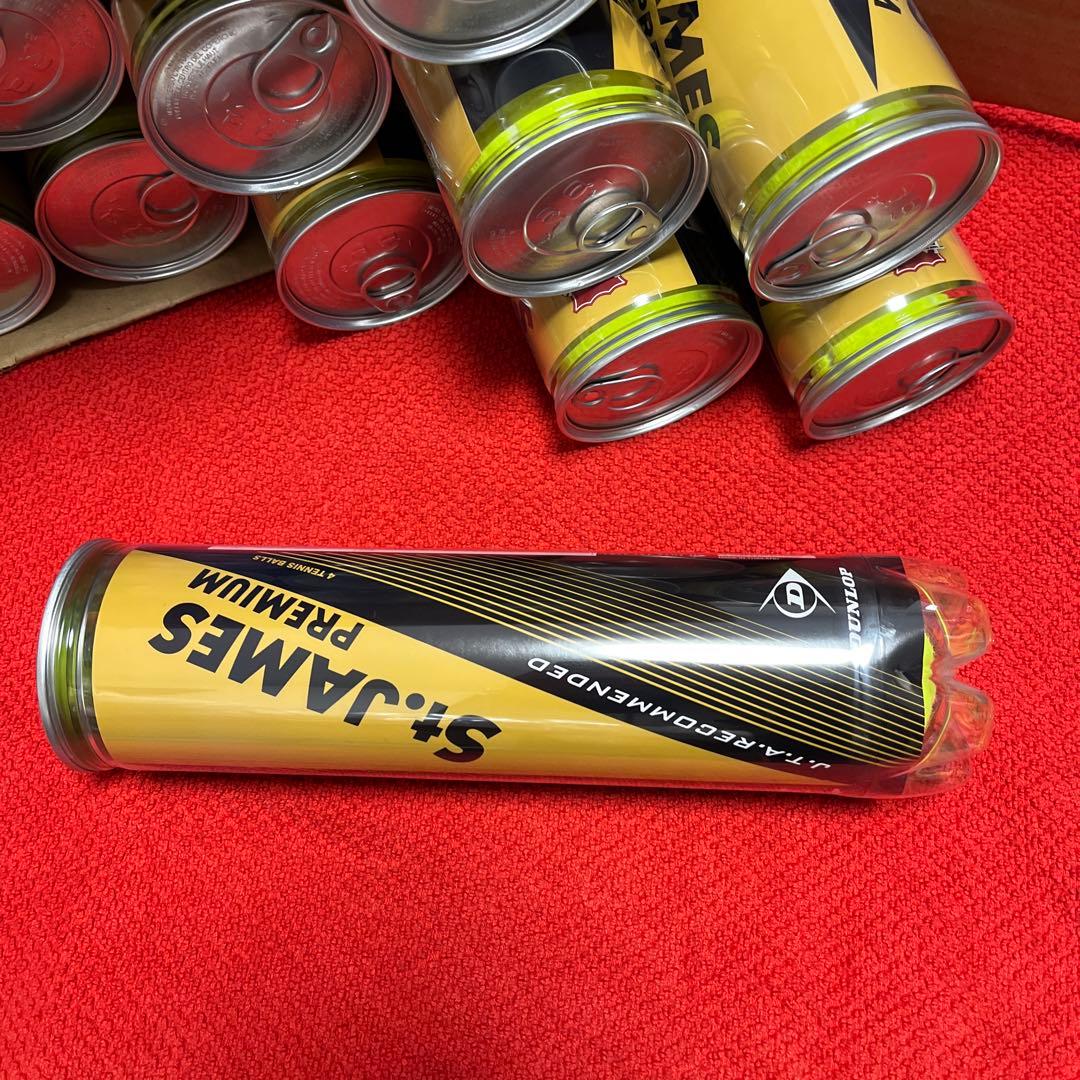 ダンロップ「St.JAMES Premium(15缶/60球)」テニスボール