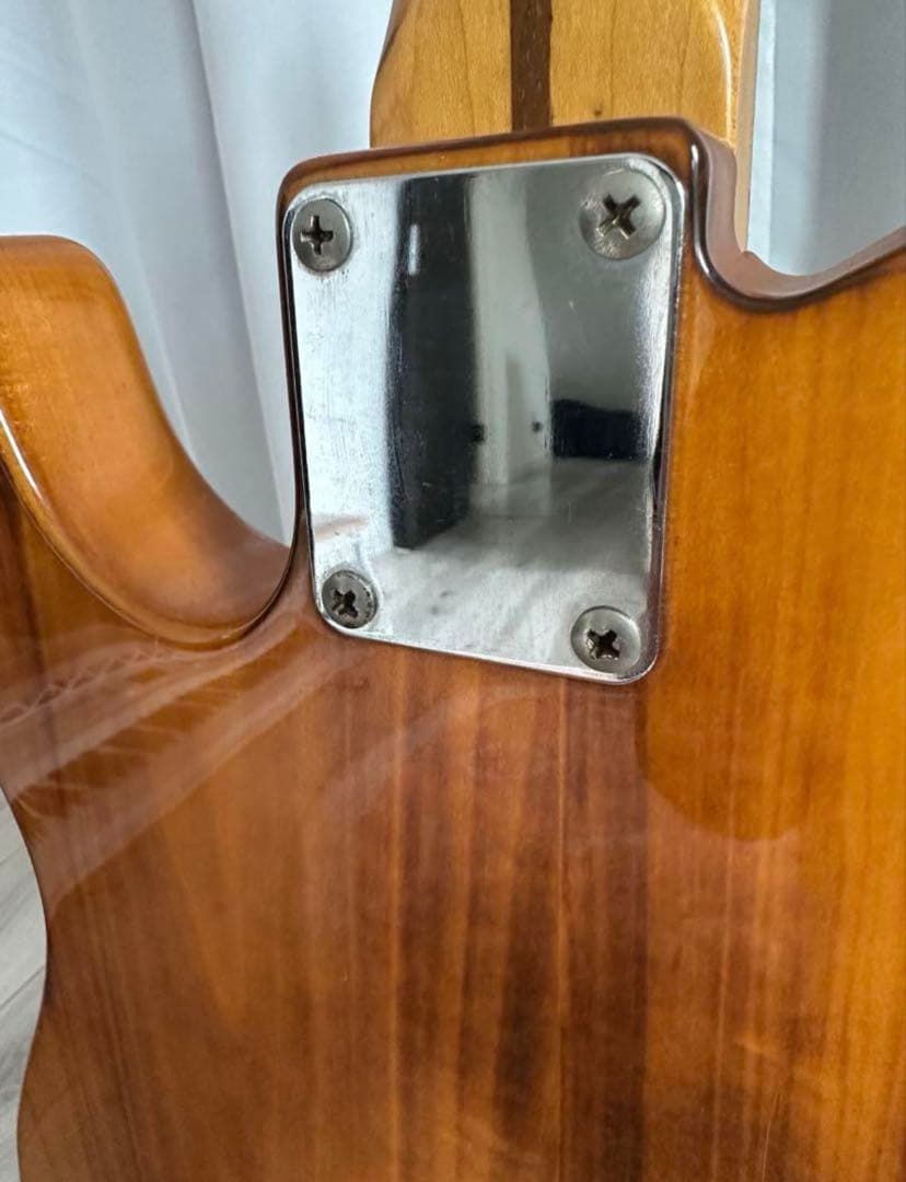 ⭐︎Fender/Telecaster⭐︎