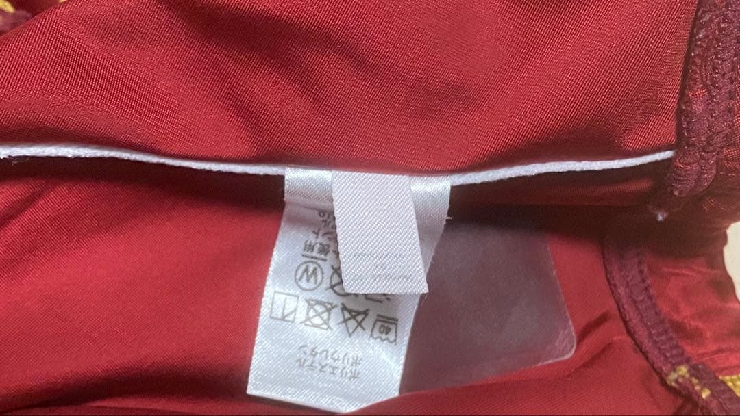 arena ARN-7023M X-PYTHON2リミック 競パン レッド