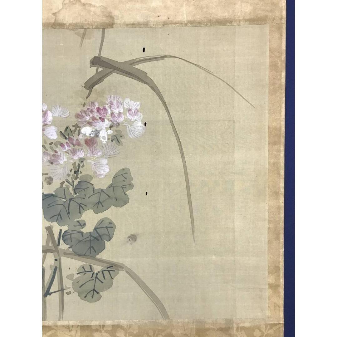 真作/谷文二/芙蓉図/花図/横物/秋の掛軸/掛軸/名家伝来/AK-738