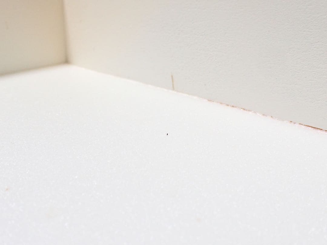 バードウィング製？ ドイツ箱 (幅50.7×奥行き41.8×高さ8cm)