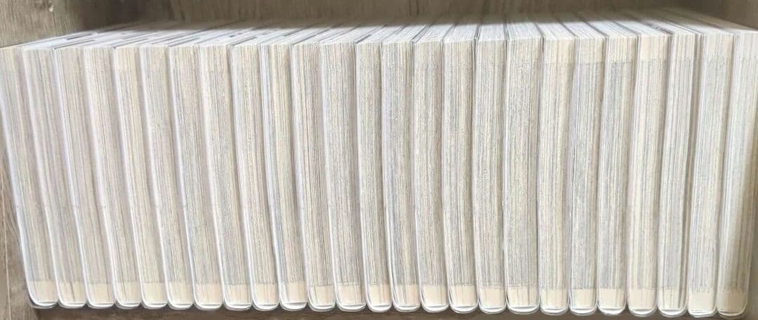 文豪ストレイドッグス 1-25巻 +オリジナル収納BOX付 値下げ️⭕️