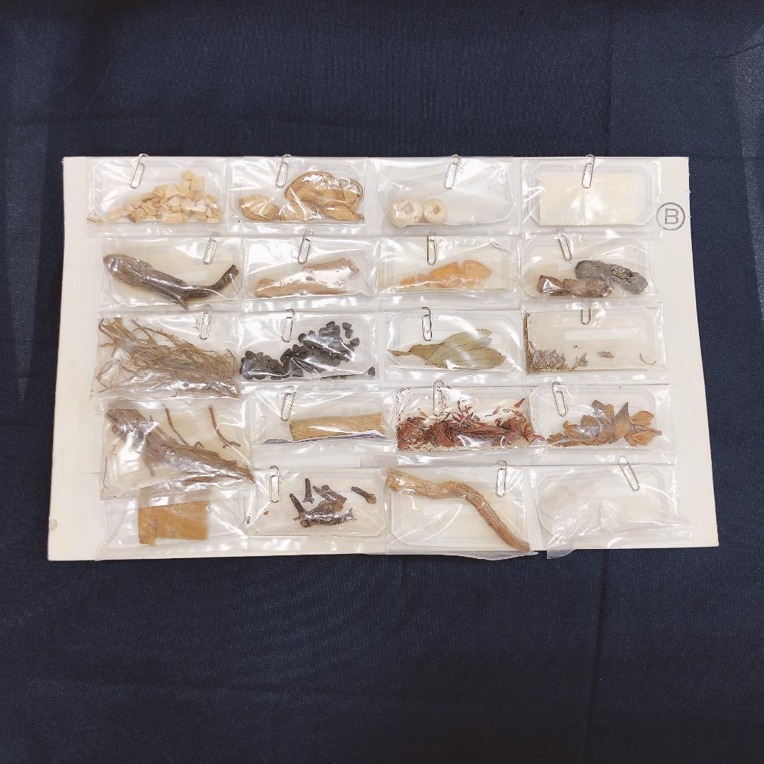 生薬標本一覧　80種　中井廣進堂　漢方　薬膳