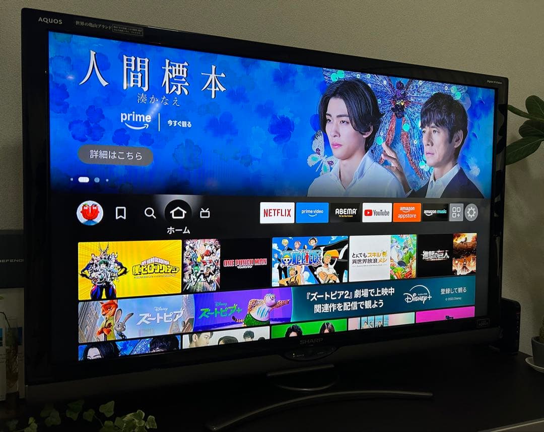 テレビ SHARP LED AQUOS LC-52SE1 52インチ｜動作確認済