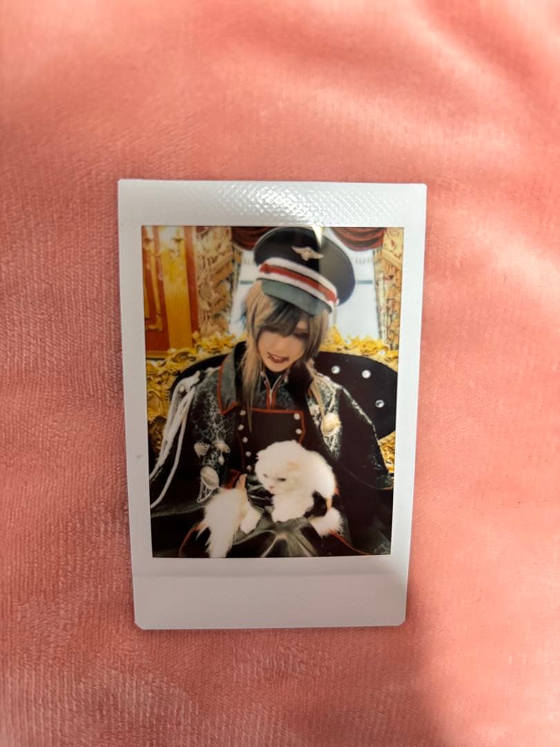 Royz 杙凪　ピック　入場特典　ほたて　チェキ　アクスタ