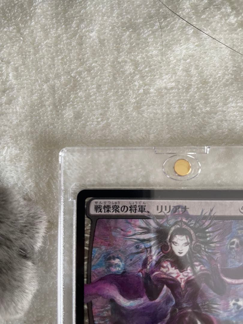 L*o様 戦慄衆の将軍、リリアナ　日本語　天野嘉孝