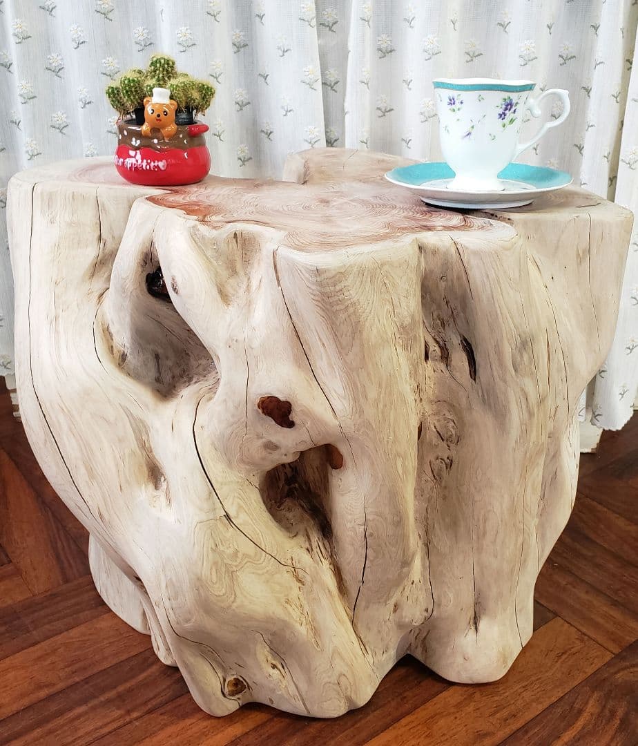 貝塚伊吹希少サイズ丸太