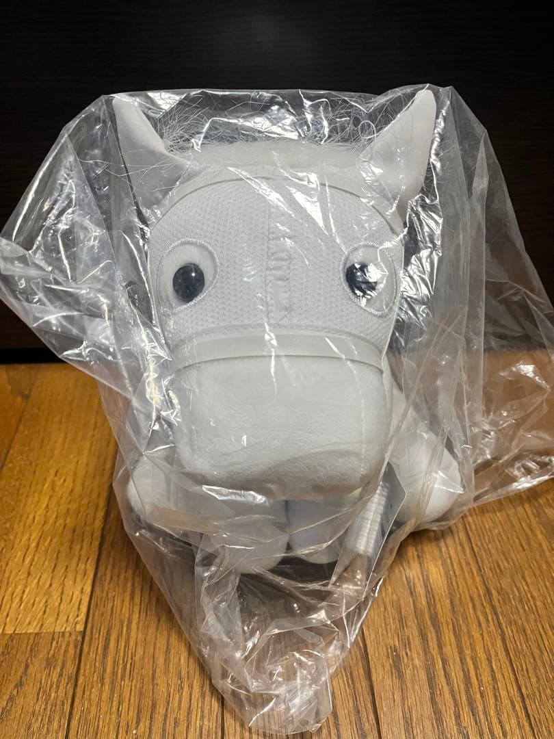 アイドルホース　ソダシ