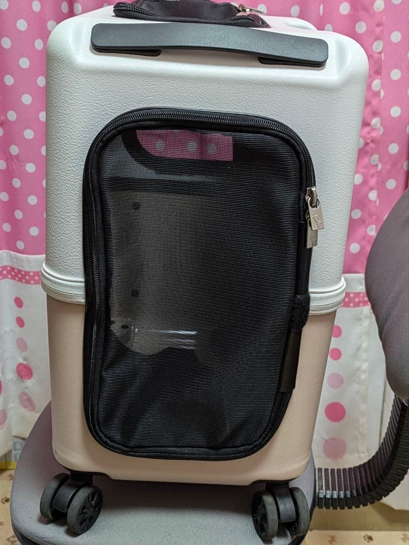 ペチコ　ペットキャリー　PETiCO iCO Mサイズ