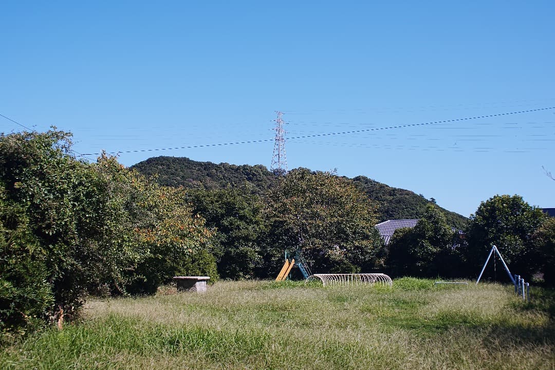 レンズ(単焦点) jugemu95 Distagon 35mm 1.4 MMJ 563