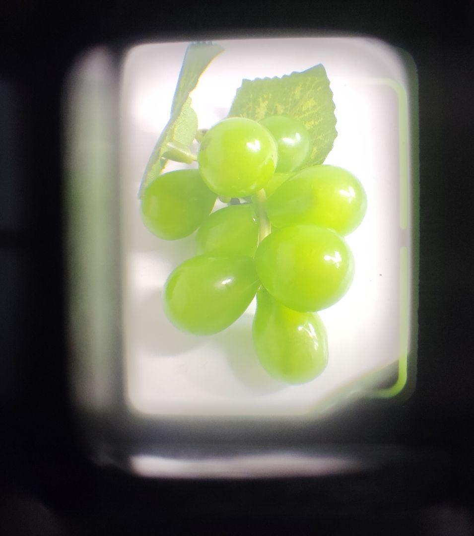 プロフ必読ままま様の商品です（OLYMPUS　PEN　EF（動作品）