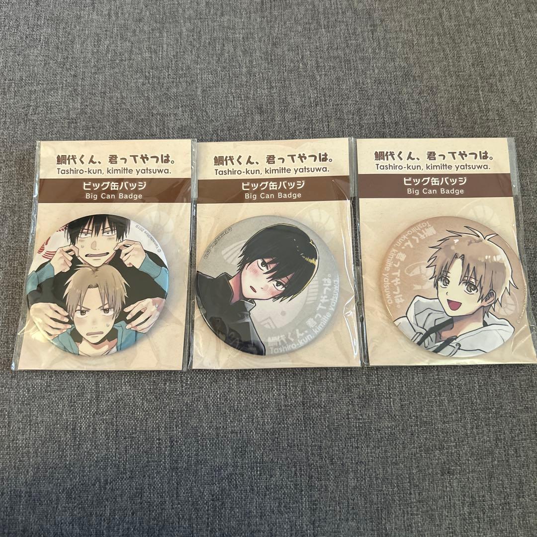 鯛代くん、君ってやつは。 缶バッジ 3個セット