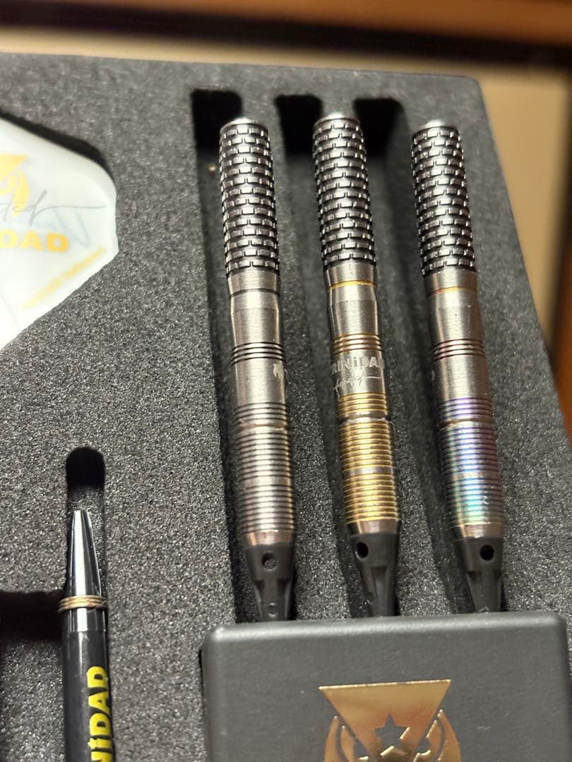 おまけ付　【Hugotype2】 ヒューゴリョンモデル