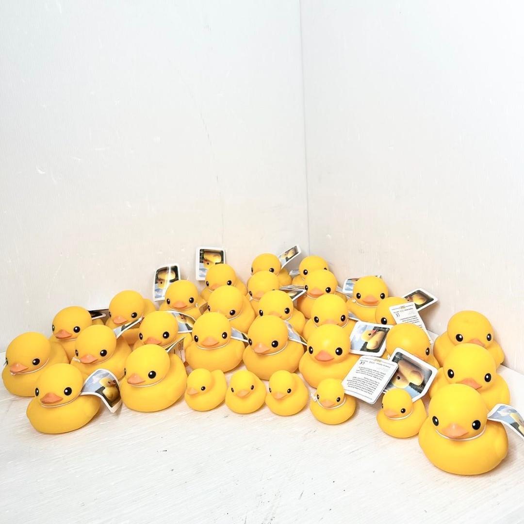 フロレンティン　ホフマン ラバーダック TOLO フロレンタイン　30体セット