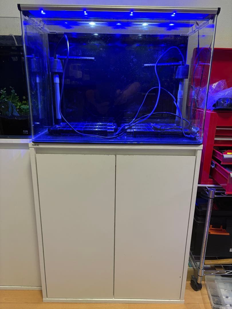 アクアシステム製ニューアール600【ＧＥＸ水槽台付】