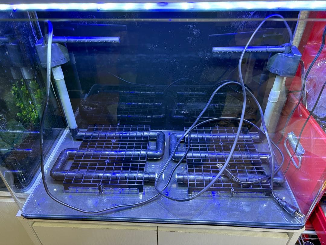 アクアシステム製ニューアール600【ＧＥＸ水槽台付】