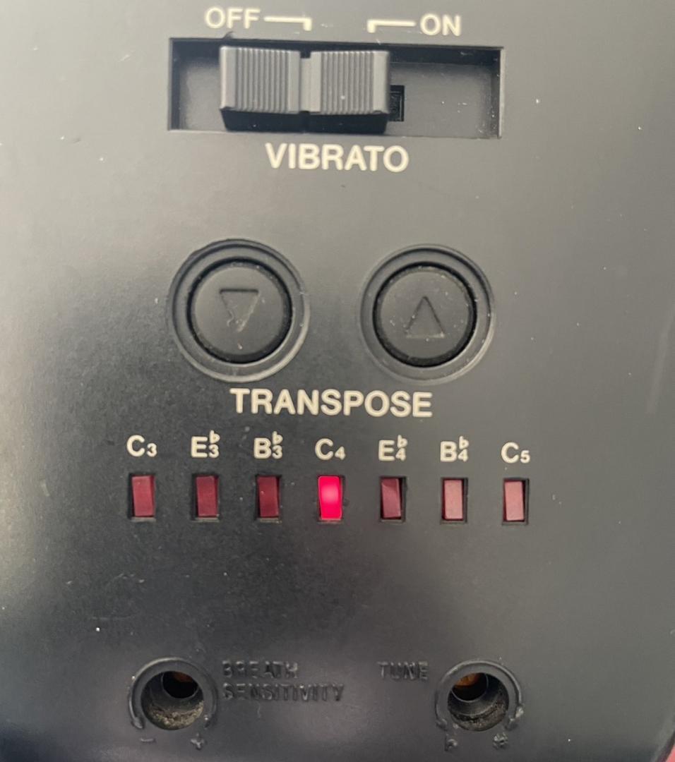 【送料込み】カシオ☆デジタルホーン DH-500☆アダプター付☆ジャンク