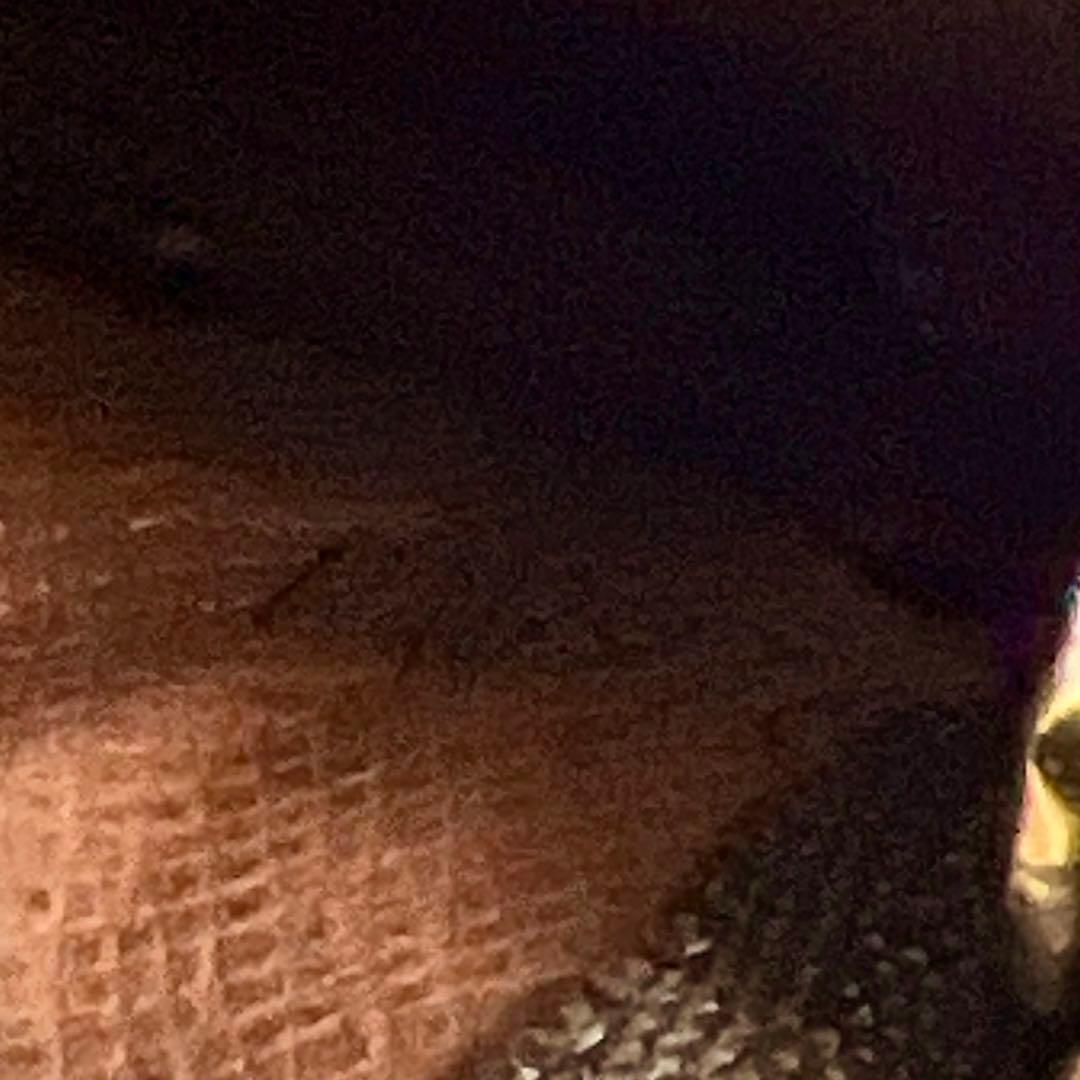 専用 Louis Vuitton ポシェット モノグラム ケース 7772