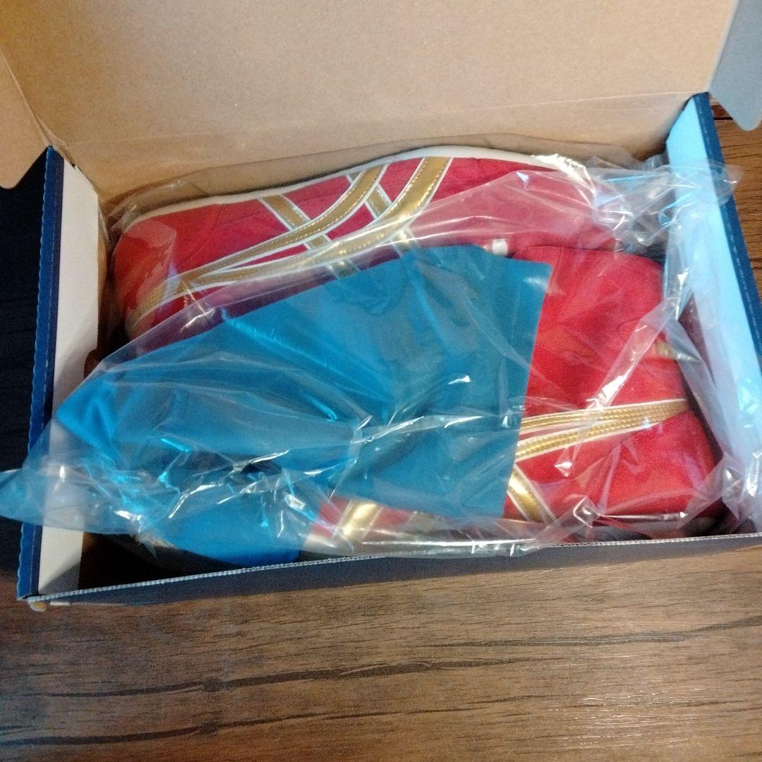 アシックス レスリングシューズ レッド EX-EO (TWR900) #548