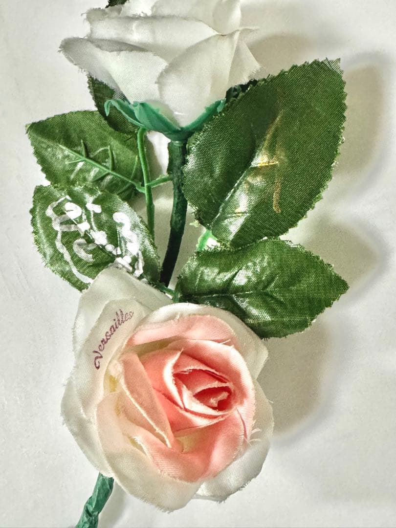 Versailles ローズライト メンバー5人サイン入り